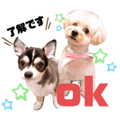 melon_20210330175753