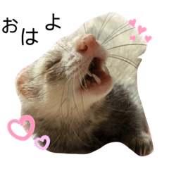 asuka_20210330212803