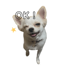 mizuki_20210330214510