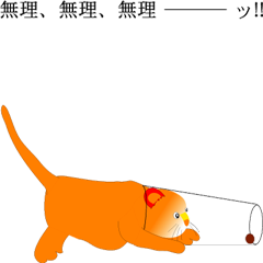 animation of a cat