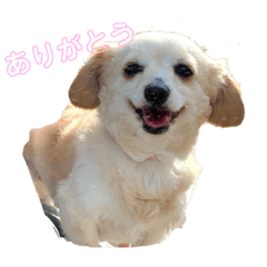YUKA_20210331020417
