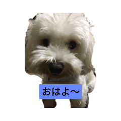 yamada_20210331072252