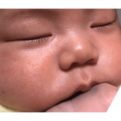yanagi_20210331112817