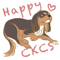 Happy CKCS (Black and Tan)