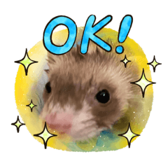 asuka_20210331091341