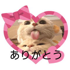 asuka_20210331114206