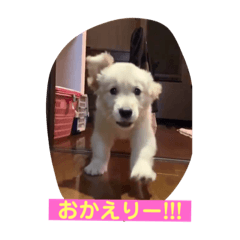 tomomi_20210331013907