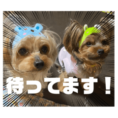 chi_20210331115551