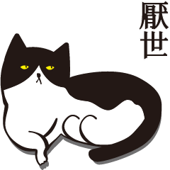 Misanthrope little black and white cat