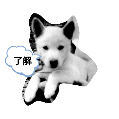 akiko_20210331121224