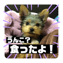 Riho_20210331140400
