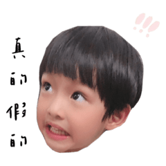 紘仔日常的喜怒哀樂