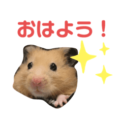 ネズミ Lineクリエイターズスタンプまとめ Stamplist Part 2 ネズミ Lineクリエイターズスタンプまとめ Stamplist Part 2