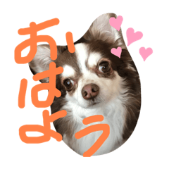 miki_20210331143644
