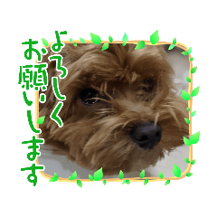 いろいろ使える心紬のスタンプ