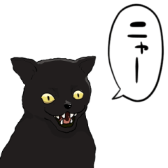 しゃべる黒猫