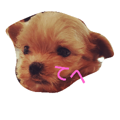 malpoolomochi