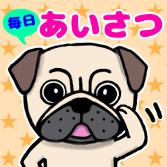 Daikichi of the pug! Greetings sticker
