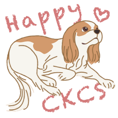 Happy CKCS (Blenheim)