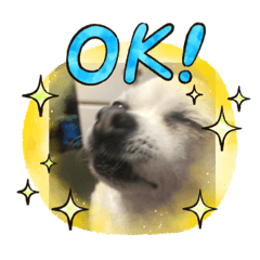 Saori_20210331210022