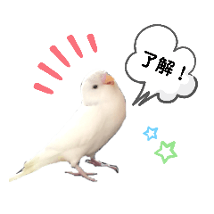 saya_20210401074114