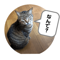 saiko_20210331210613