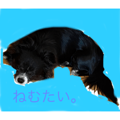 asuka_20210331233345