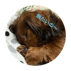 Yukari_20210401021527