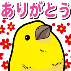 Happy Canary