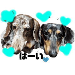 ayumi_20210401114153