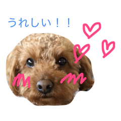 HAPPYHARUTA