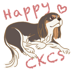 Happy CKCS (Tricolor)