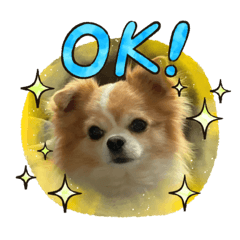 Hiyori_20210401101640