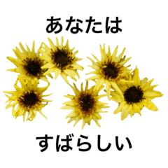 Language of flowers(Japanese)2