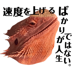 愛すべきフトアゴヒゲトカゲ Line スタンプ Line Store 愛すべきフトアゴヒゲトカゲ Line スタンプ Line Store