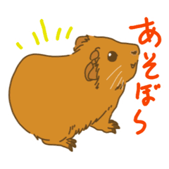 毎日モルモット01 Line スタンプ Line Store 毎日モルモット01 Line スタンプ Line Store