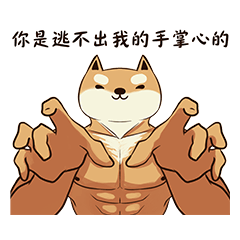 Shiba Inu Little Butt 11-Super Shiba-Dog
