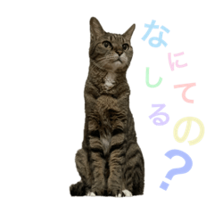 miki_20210401140642