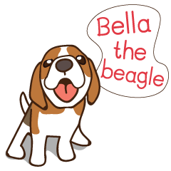 Bella the beagle