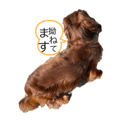 Yukari_20210401165210