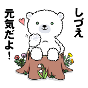 Cotton bear(Sidue)