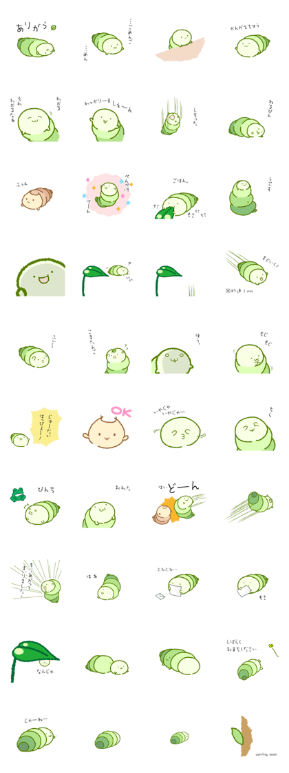 Imomu