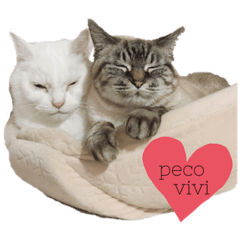 yukaRi_20210402022233