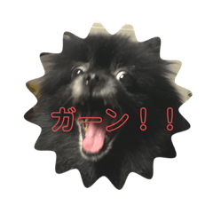 HATAKAYAMAYOUKO