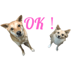 Mizuki_20210401193914