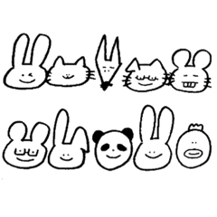 Everyday of funny animals.