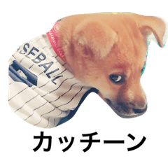 ponta_stamp(puppy)