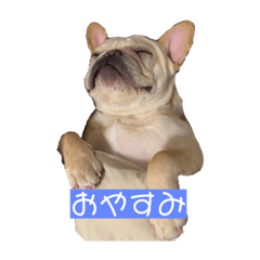 OMOCHI_20210402000255