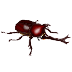 Beetles&Stag beetles sticker 2