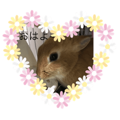 Nagisa_20210402094710
